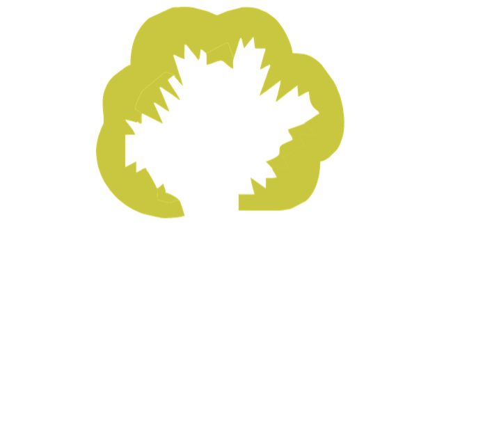 Eden Wellness